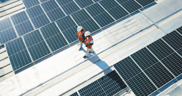 Best Skylight Installation and Repair  in Willis, TX