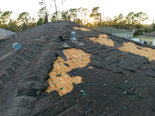 Best Roof Insulation Installation  in Willis, TX
