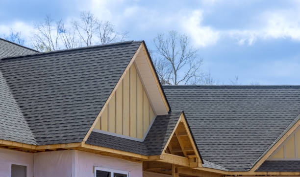 Best Steel Roofing  in Willis, TX